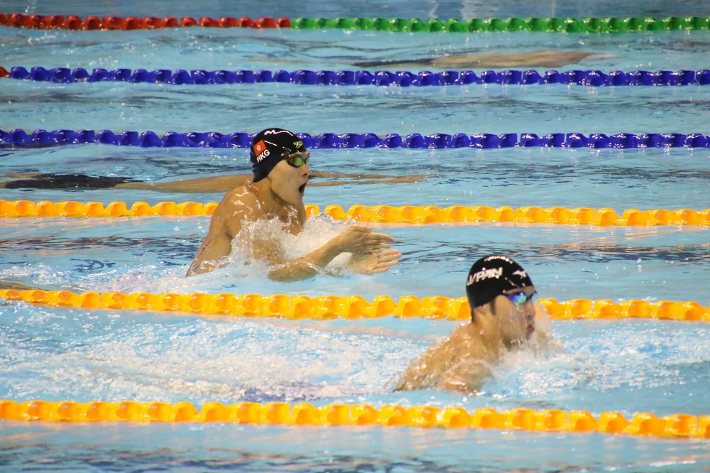 第廿九屆世界大學生夏季運動會游泳賽